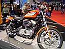 Harley-1.jpg